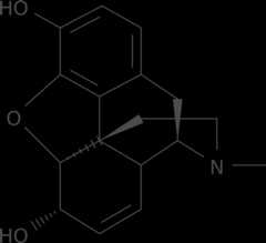 alkaloider