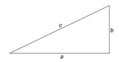 Hypotenus