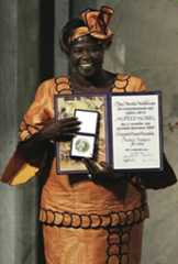 Nobelprisen