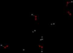 Kolsyre