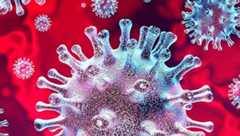 SARS-CoV-2 et COVID-19