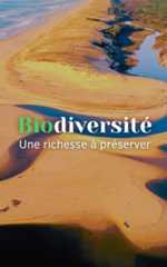 Biodiversité, une richesse à préserver : notre dossier spécial