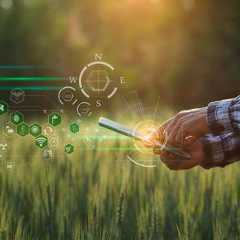 Salon de l'agriculture