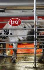 Salon de l’agriculture 2026 : comment l’intelligence artificielle nourrit les décisions et les espoirs des paysans