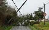 Tempête Nils en Gironde : à Sallebœuf, après le black-out, des centaines de foyers toujours privés d’électricité