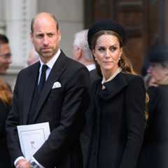 The Prince and Princess of Wales break silence on Epstein revelations: William and Catherine are ‘deeply concerned’, spokesperson says