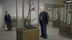 A Pigeon Sat on a Branch Reflecting on Existence (2015) A Pigeon Sat on a Branch Reflecting on Existence (2015)