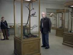 A Pigeon Sat on a Branch Reflecting on Existence (2015) A Pigeon Sat on a Branch Reflecting on Existence (2015)