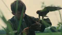 Kes (1969)