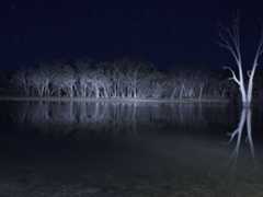 Lake Mungo (2008)