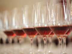 Porto Small Group Tour Including Wine Tasting