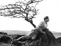 A Cottage on Dartmoor (1929)