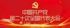 二十大专题