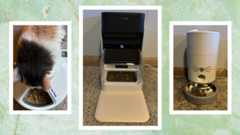 The Best Automatic Cat Feeders for When You’re Away
