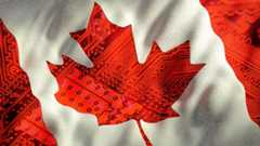 Trump’s Trade War Pushes Canadian Tech Workers to Rethink Silicon Valley