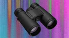 The Best Binoculars to Zoom In on Real Life