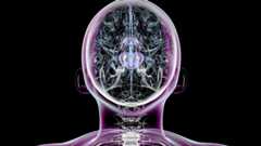 Scientists Succeed in Reversing Parkinson’s Symptoms in Mice