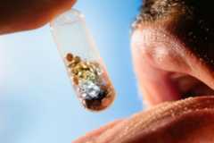 Psychedelic Therapy Crashed and Burned. MAHA Might Bring It Back