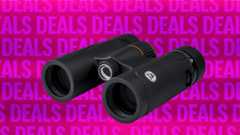 One of Our Favorite Pairs of Binoculars Is $80 Off