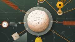 How Genes Have Harnessed Physics to Grow Living Things