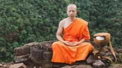 Study of Buddhist Monks Finds Meditation Alters Brain Activity