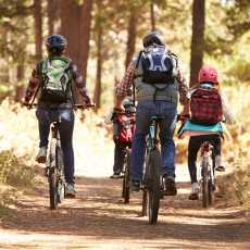 Exercise and Physical Fitness