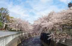 Tokyo Cycling Route: “Riverside Ride”