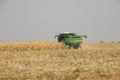 Namibia’s green schemes are failing, and a parliamentary inquiry blames the system