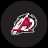 Arkansas Travelers