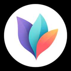 MindNode Triad