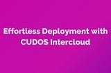 Effortless Deployment with CUDOS Intercloud