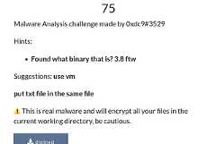 RTLxHA CTF 21 - Reversing-Dinined - Write-Up
