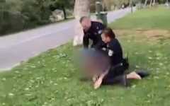 המעצר האלים בפארק הירקון