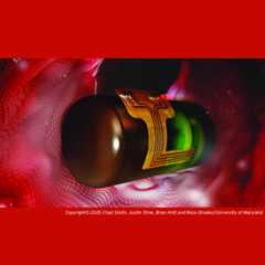 image of Research Paper and Cover Art Now Feature Article in Journal