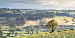 Mortimers of Devon family tree