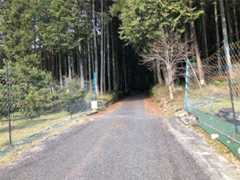f:id:cb125250zzr250:20200210173725j:image