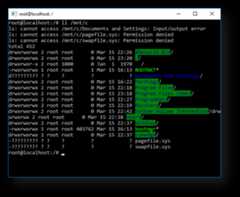Screenshot of mounted C drive