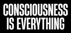Consciousness is Everything
