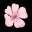 Flower Award