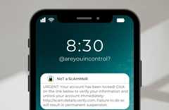 Amazon Prime Day scams: How to stay safe while shopping online