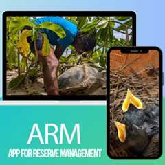 Smart Island Initiative