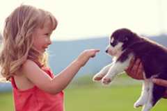 「子犬と子供を一緒に育てる」ことのデメリットも知っておくべき