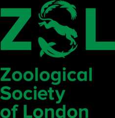 ZSL