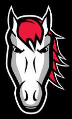 Leicester Riders Women