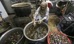 When a Little Syrian Eggplant Is More Than Just Food