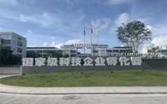 透过集群式发展态势 看创新雨林为何在这里拔节生长