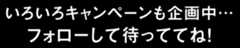 いろいろキャンペーンも企画中… フォローして待っててね！