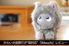 かわいい顔して“塩対応”　新顔ペットロボット「iMoochi」レビュー