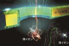 半導体チップの局所冷却の実現に期待、東大がイオン版ペルチェ効果を実証
