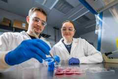 Two researchers in white lab coats and safety glasses work in a lab. A man in blue gloves uses a tool to transfer liquid into a small container near a multi-well plate with reddish liquid. A woman observes him, smiling softly.